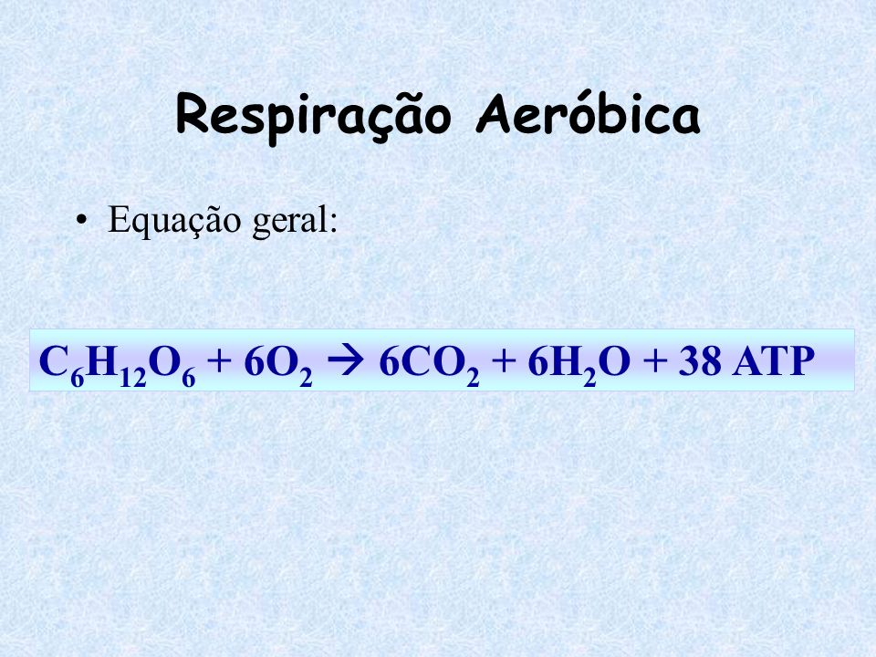 Respiração Aeróbica C6H12O6 + 6O2  6CO2 + 6H2O + 38 ATP