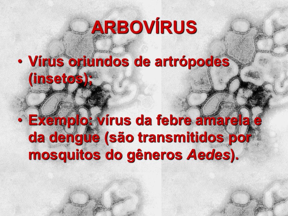 ARBOVÍRUS Vírus oriundos de artrópodes (insetos);