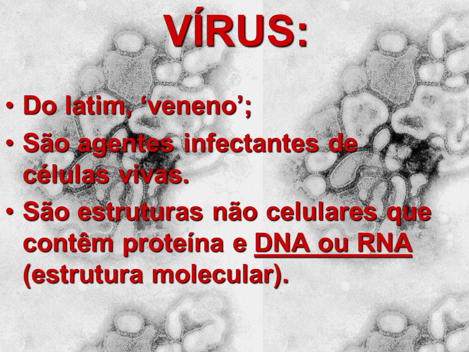 VÍRUS: Do latim, ‘veneno’; São agentes infectantes de células vivas.
