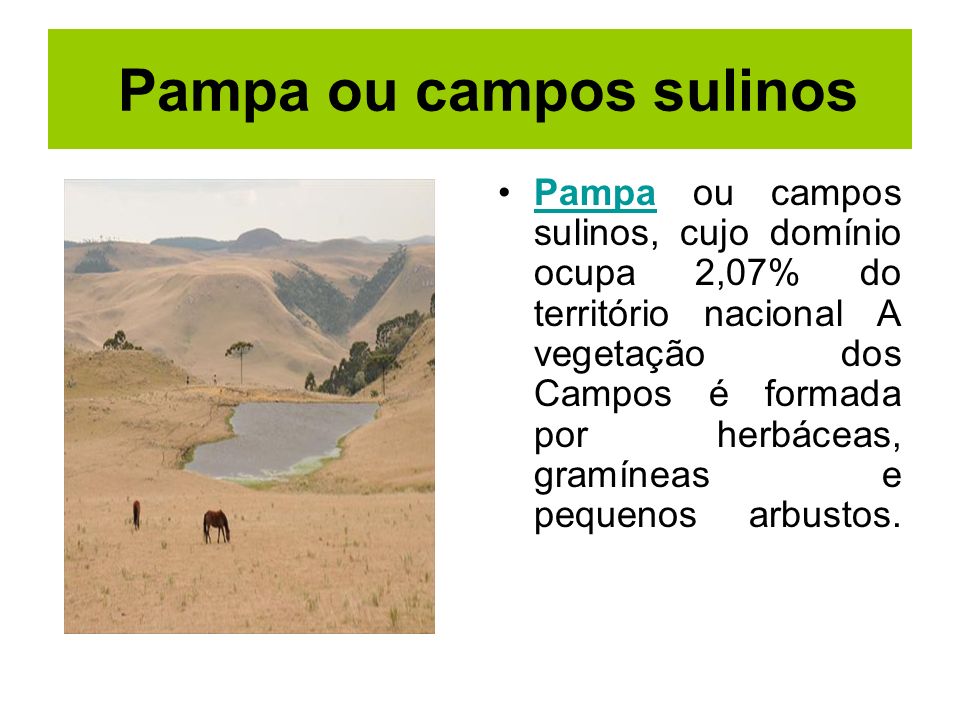Pampa ou campos sulinos