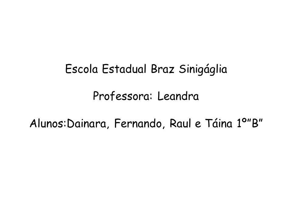 Escola Estadual Braz Sinigáglia Professora: Leandra Alunos:Dainara, Fernando, Raul e Táina 1º B