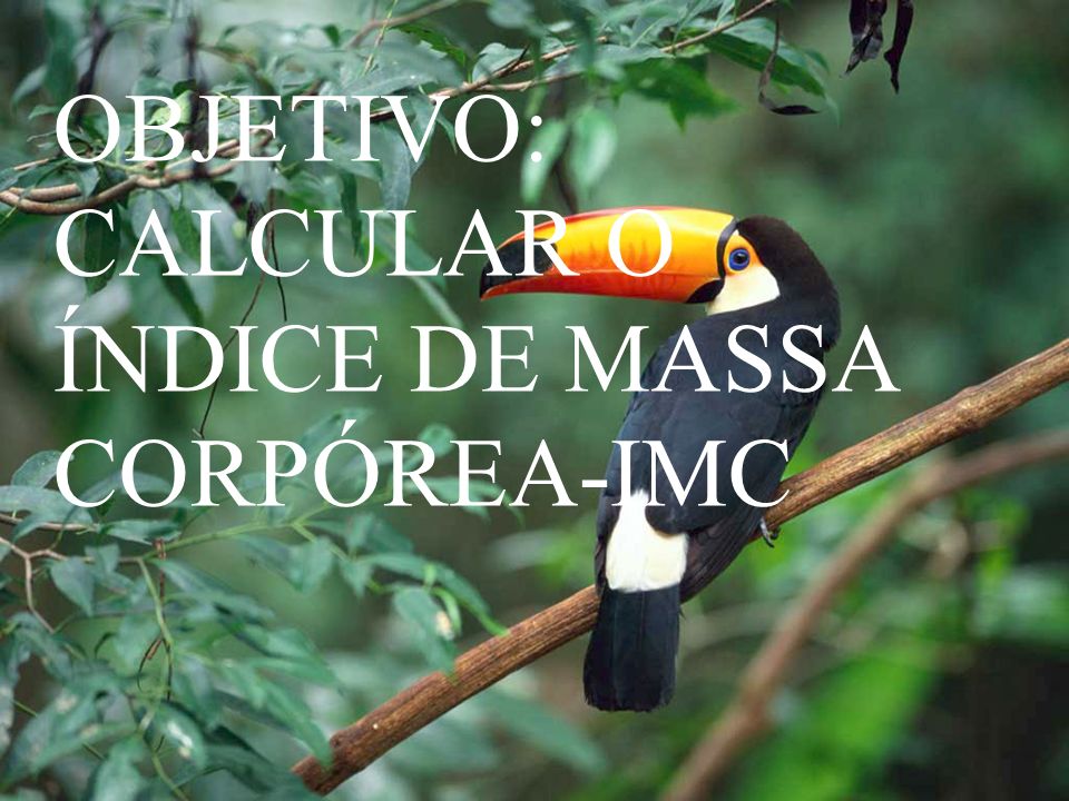 OBJETIVO: CALCULAR O ÍNDICE DE MASSA CORPÓREA-IMC