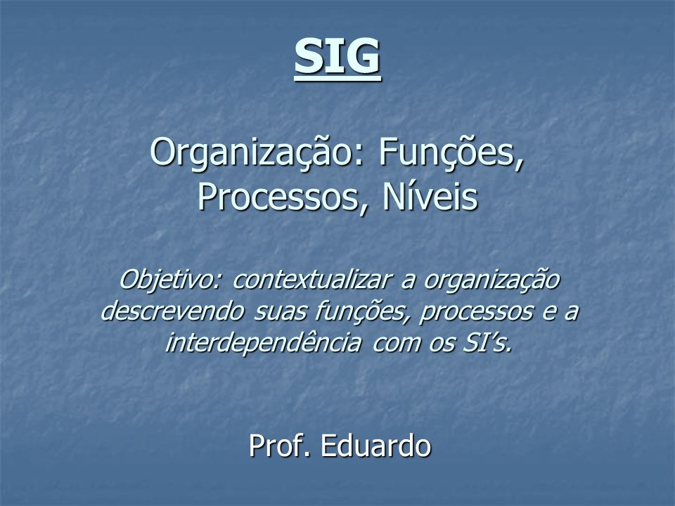 SIG Organização: Funções, Processos, Níveis Objetivo: contextualizar a organização descrevendo suas funções, processos e a interdependência com os SI’s.