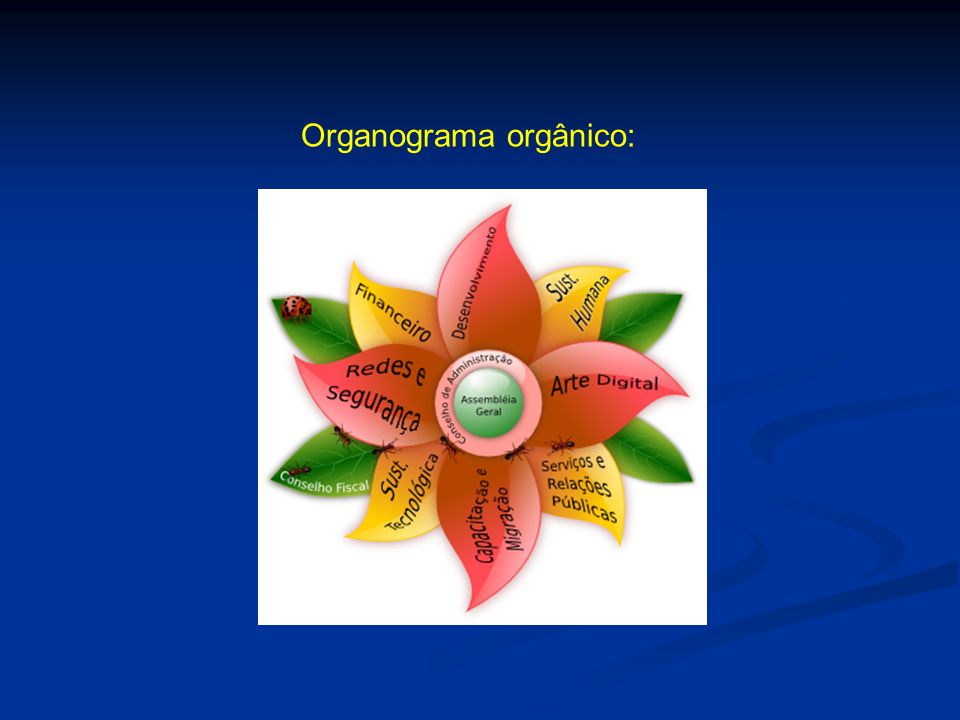 Organograma orgânico:
