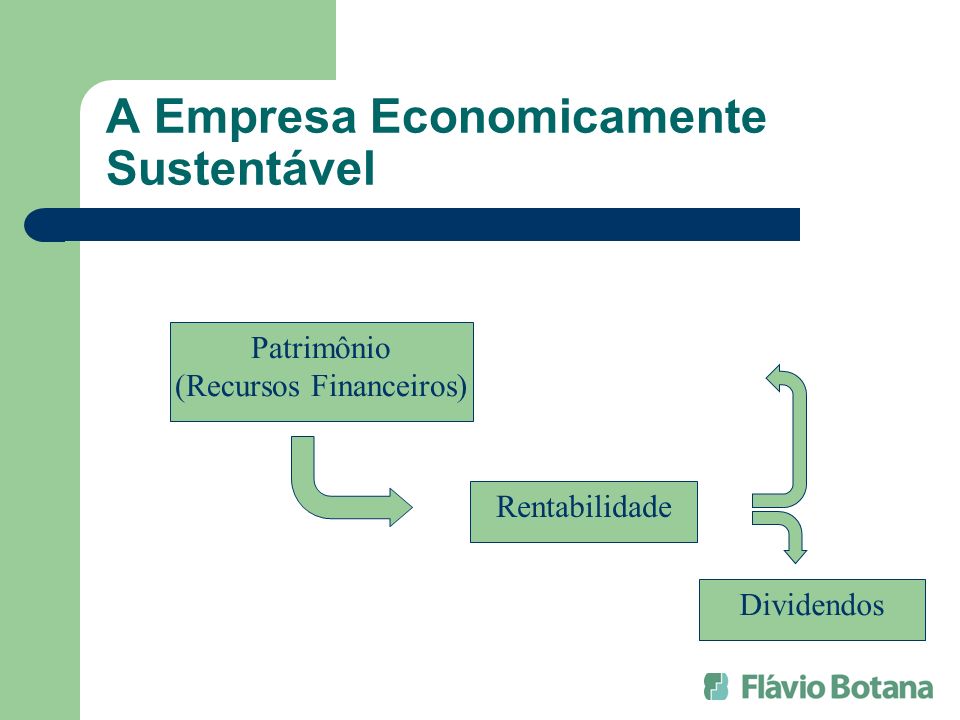 A Empresa Economicamente Sustentável