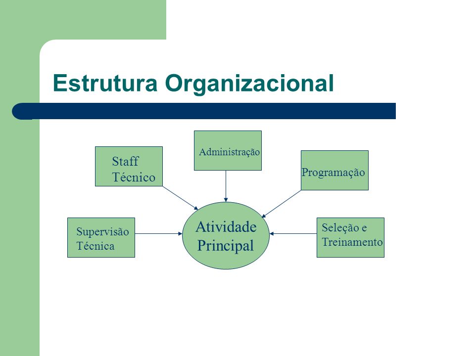 Estrutura Organizacional