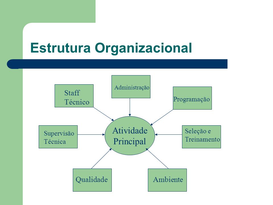 Estrutura Organizacional