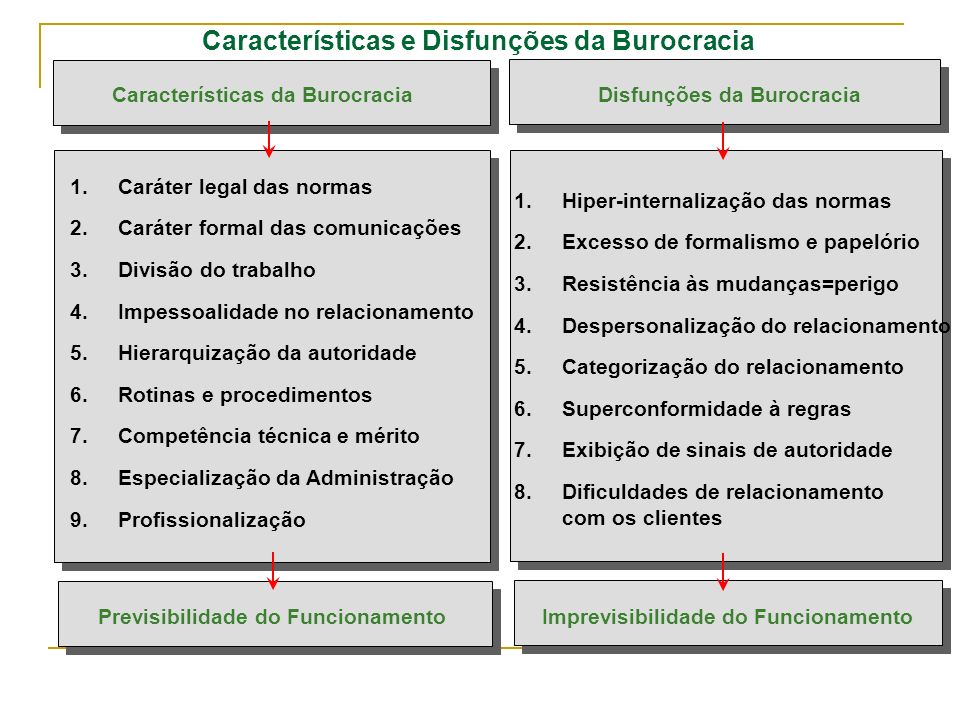 Características e Disfunções da Burocracia