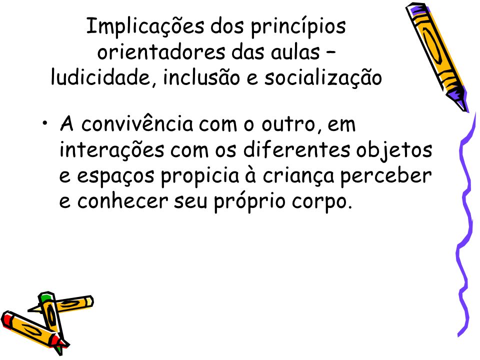 Implicações dos princípios orientadores das aulas – ludicidade, inclusão e socialização