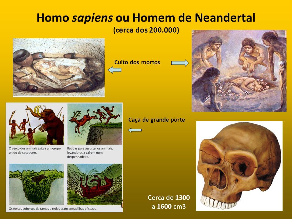 Homo sapiens ou Homem de Neandertal (cerca dos )