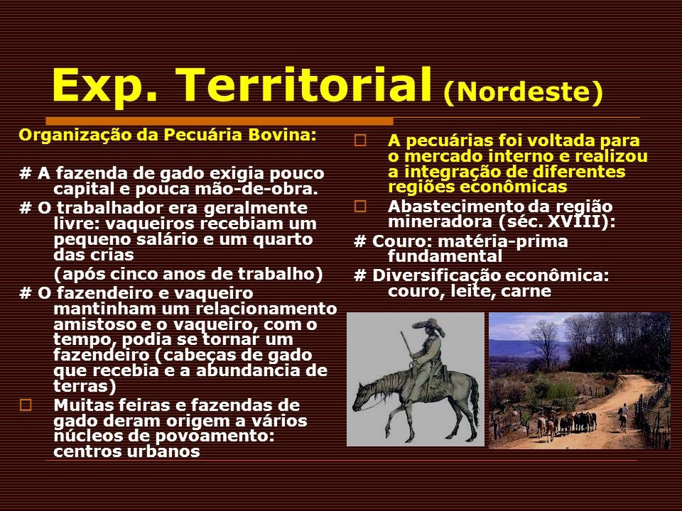 Exp. Territorial (Nordeste)