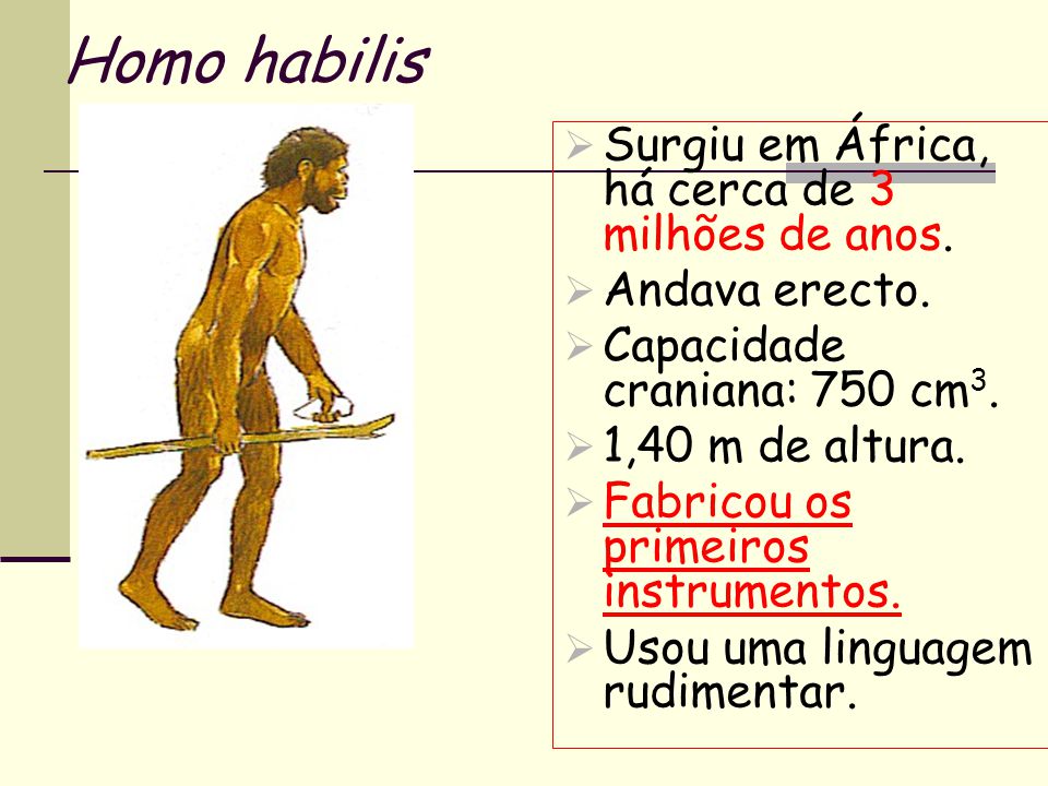 Homo habilis Surgiu em África, há cerca de 3 milhões de anos.