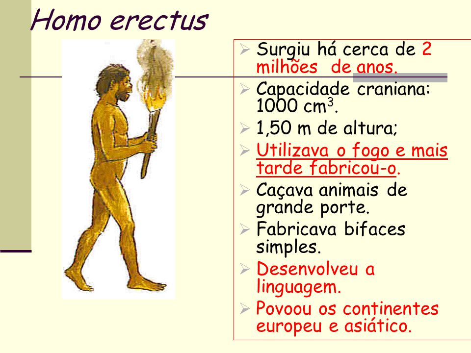Homo erectus Surgiu há cerca de 2 milhões de anos.