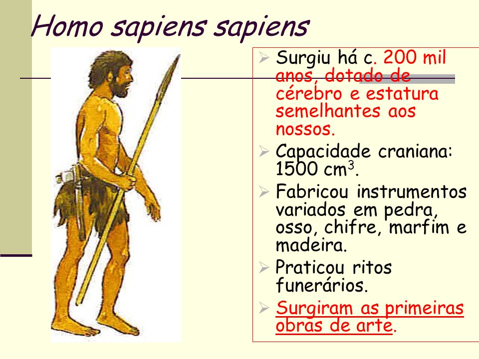 Homo sapiens sapiens Surgiu há c. 200 mil anos, dotado de cérebro e estatura semelhantes aos nossos.