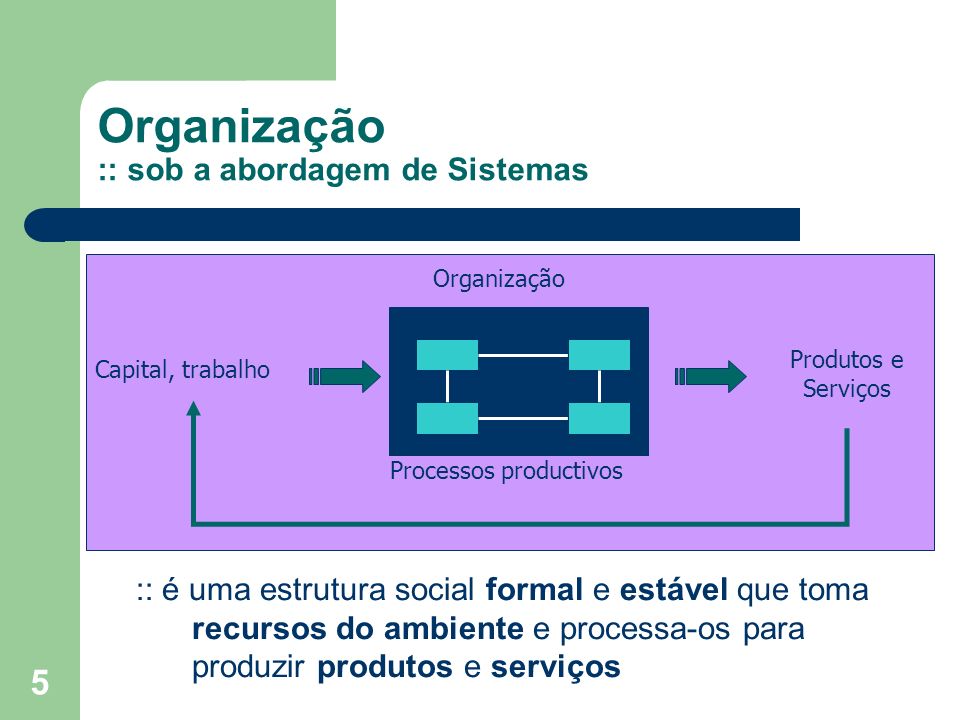 Organização :: sob a abordagem de Sistemas