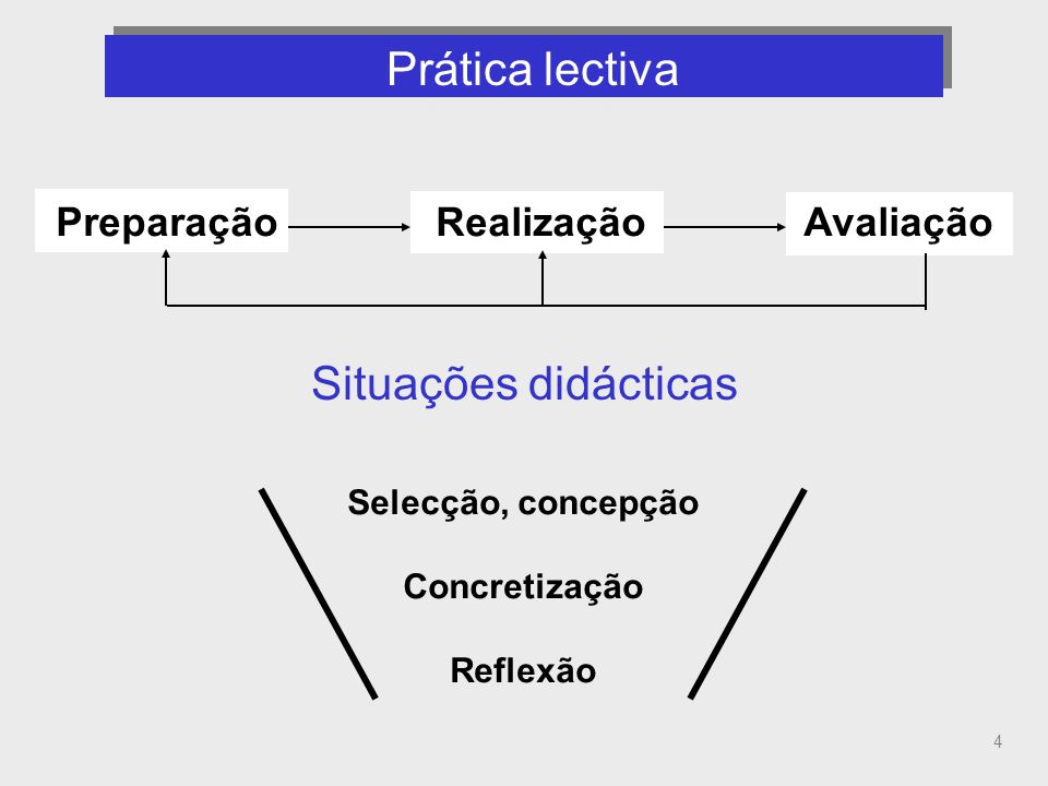 Prática lectiva (componentes, propósito de cada componente)