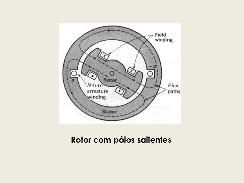 Rotor com pólos salientes