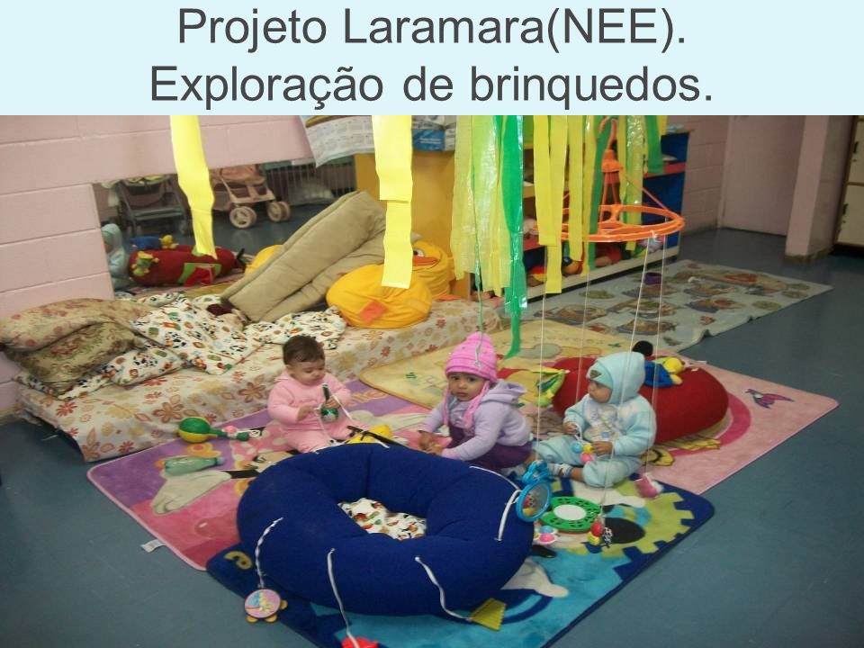 Projeto Laramara(NEE). Exploração de brinquedos.