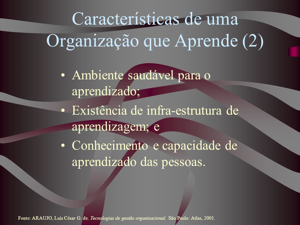 Características de uma Organização que Aprende (2)