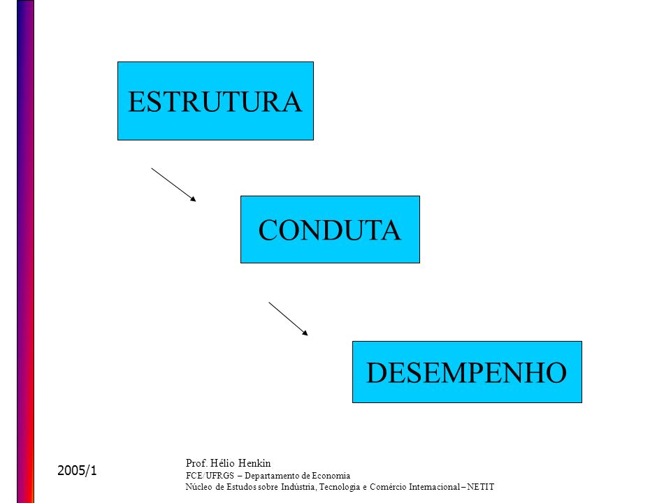 ESTRUTURA CONDUTA DESEMPENHO 2005/1 Prof. Hélio Henkin