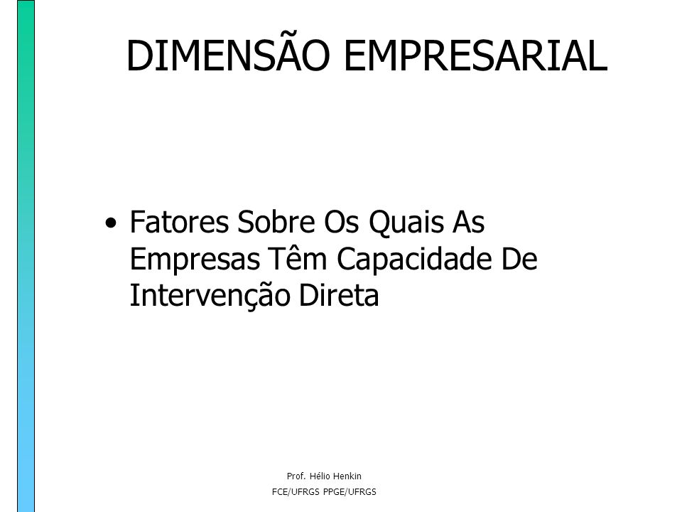 DIMENSÃO EMPRESARIAL Fatores Sobre Os Quais As Empresas Têm Capacidade De Intervenção Direta. Prof. Hélio Henkin.