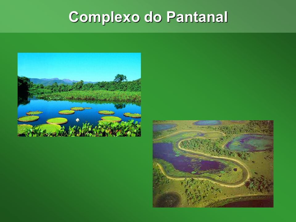 Complexo do Pantanal