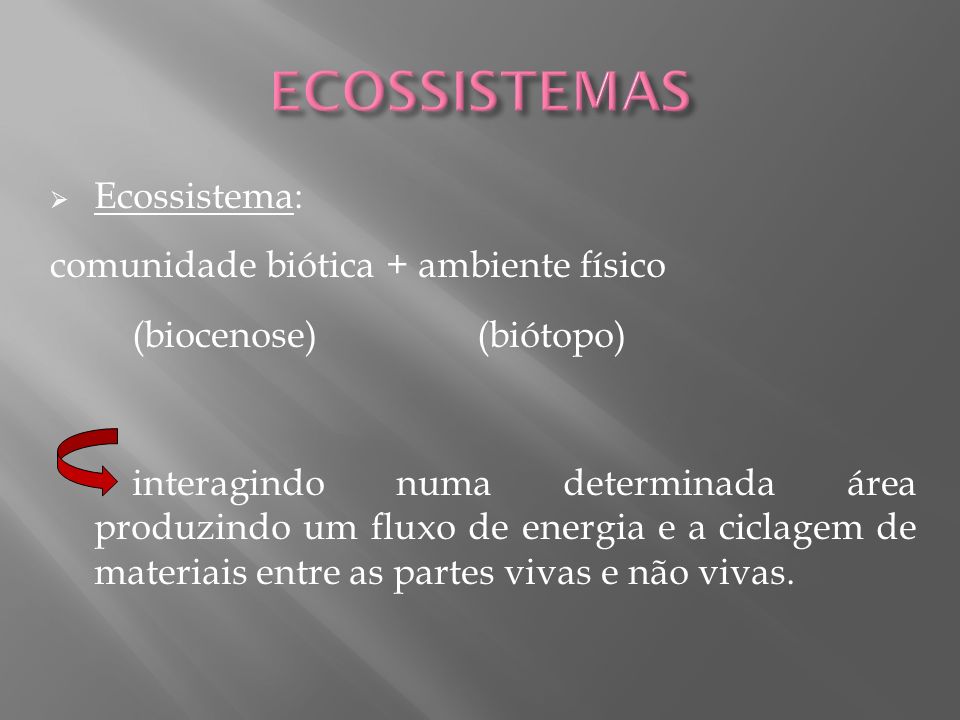 ECOSSISTEMAS Ecossistema: comunidade biótica + ambiente físico