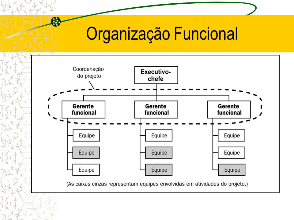 Organização Funcional