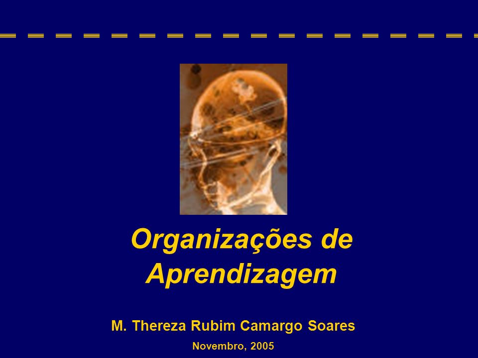 M. Thereza Rubim Camargo Soares Organizações de Aprendizagem
