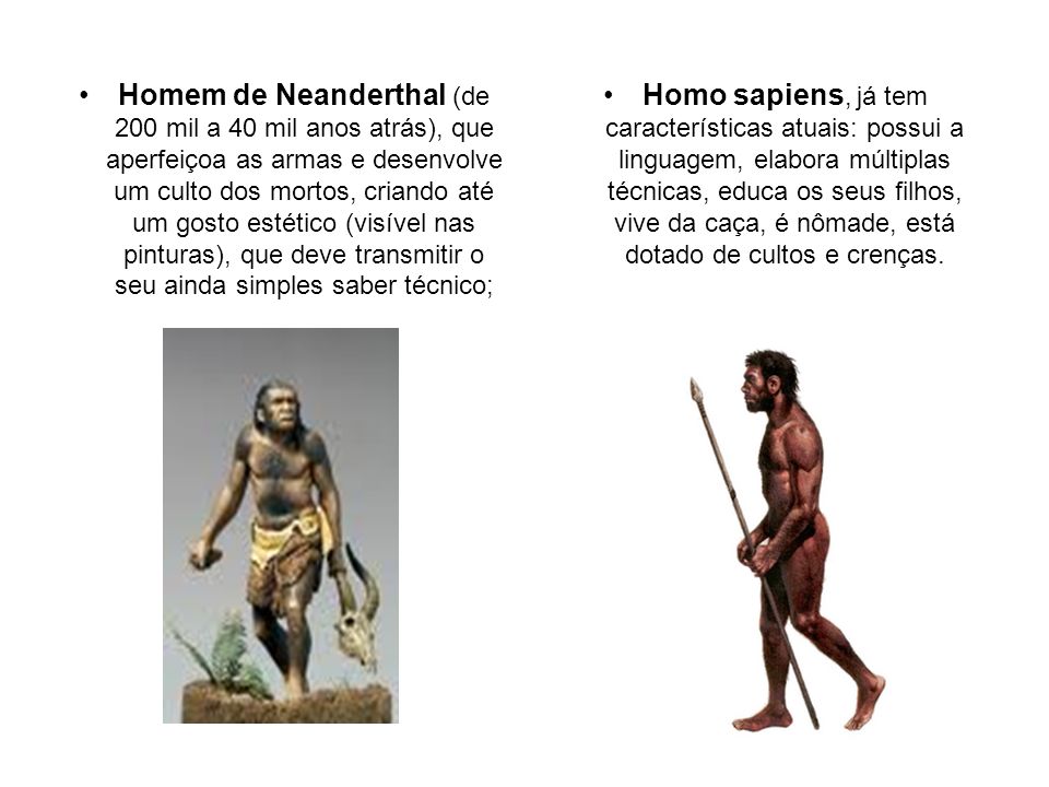 Homem de Neanderthal (de 200 mil a 40 mil anos atrás), que aperfeiçoa as armas e desenvolve um culto dos mortos, criando até um gosto estético (visível nas pinturas), que deve transmitir o seu ainda simples saber técnico;