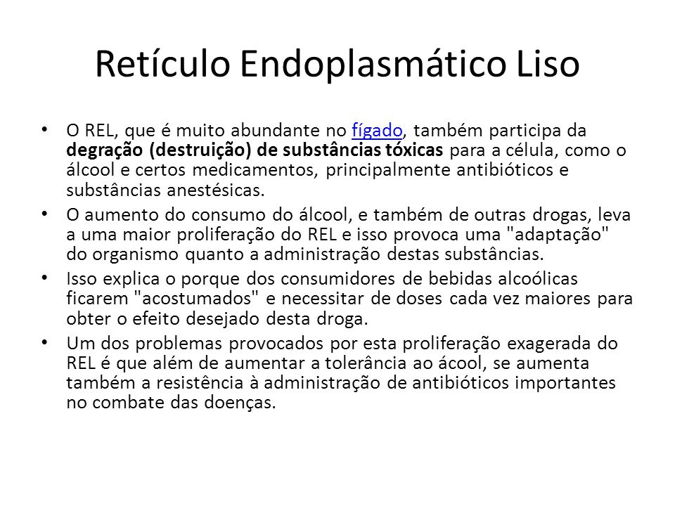 Retículo Endoplasmático Liso