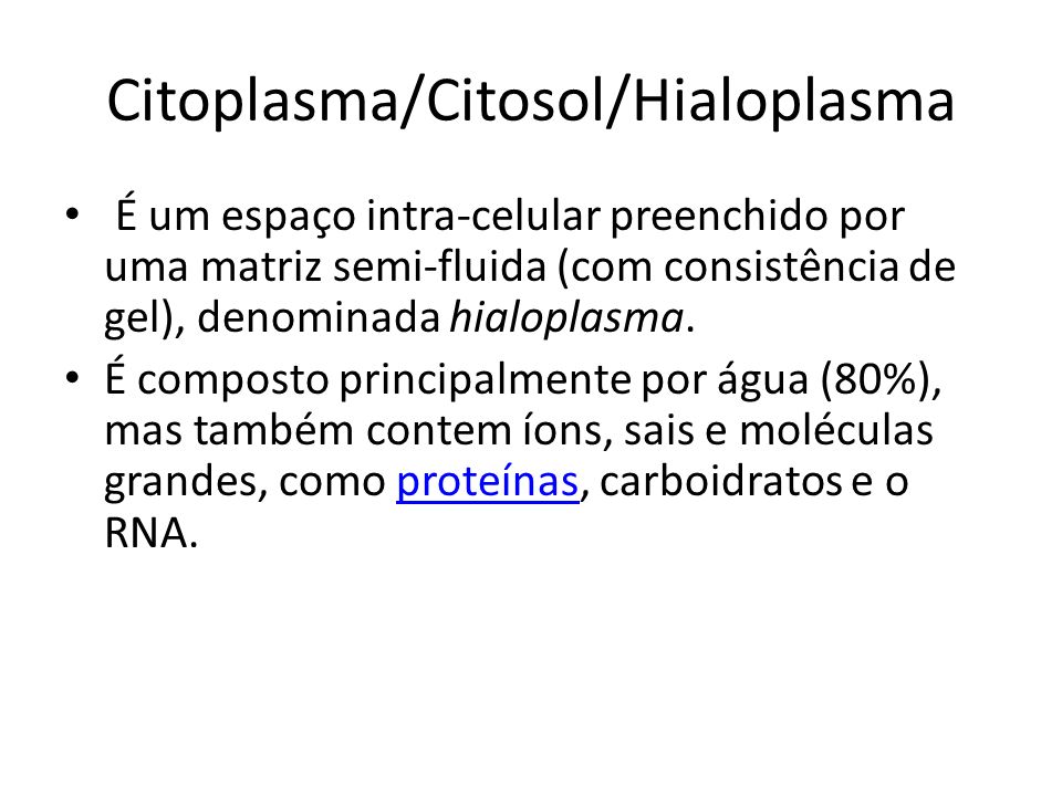Citoplasma/Citosol/Hialoplasma