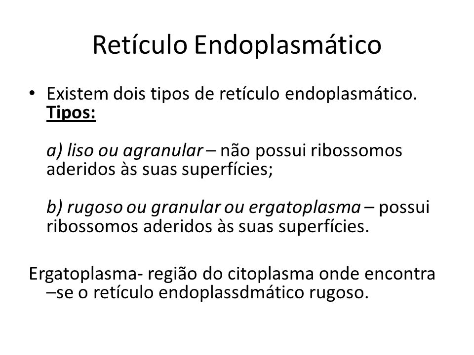 Retículo Endoplasmático