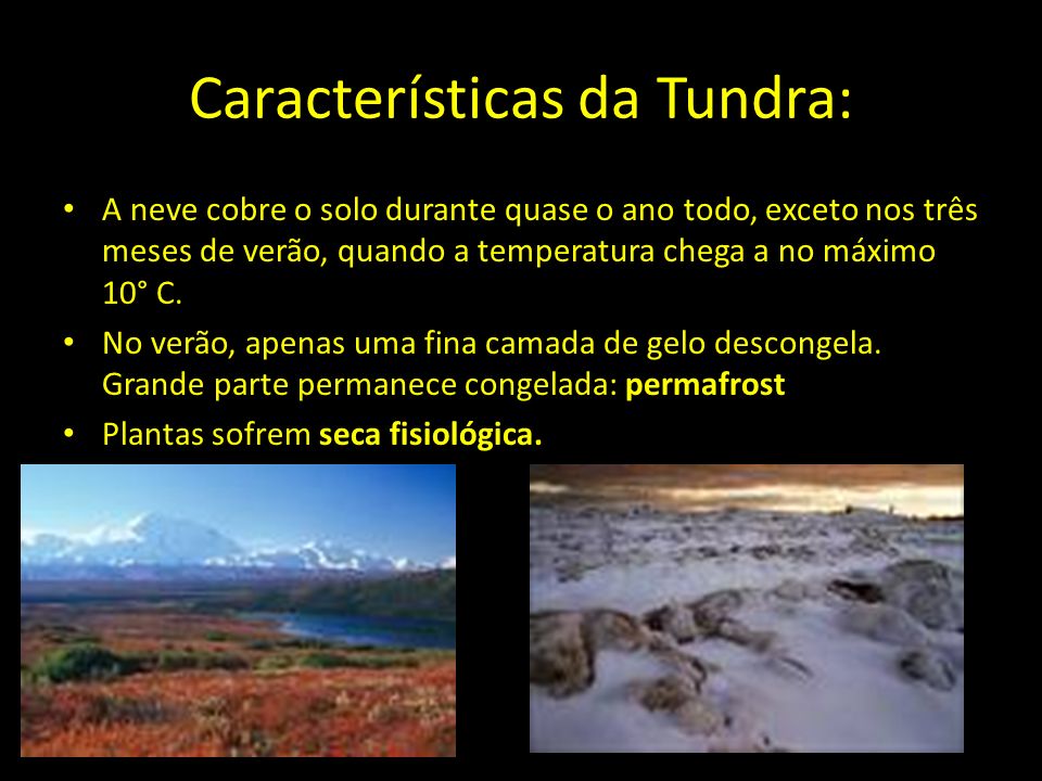 Características da Tundra: