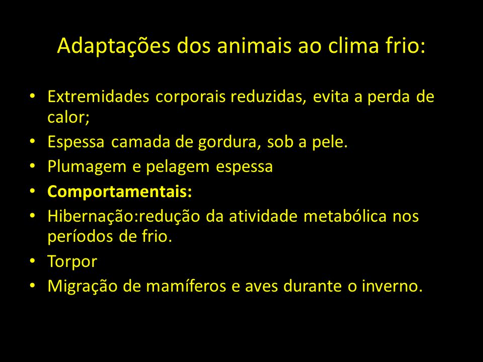 Adaptações dos animais ao clima frio: