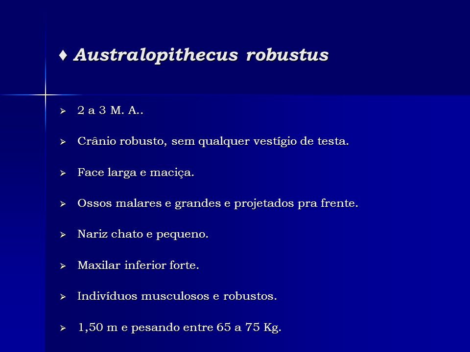 ♦ Australopithecus robustus