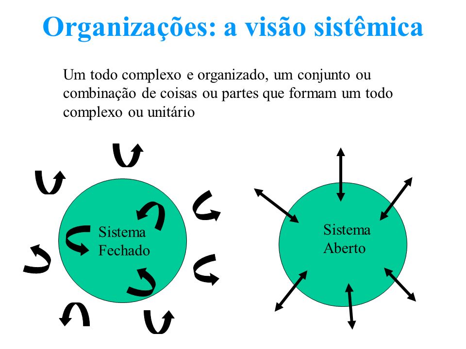 Organizações: a visão sistêmica