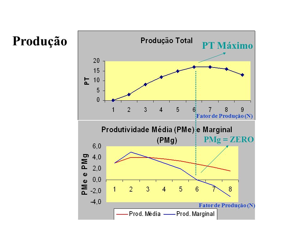 PT Máximo PMg = ZERO Fator de Produção (N) Produção