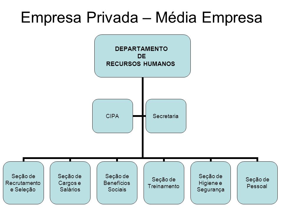 Empresa Privada – Média Empresa