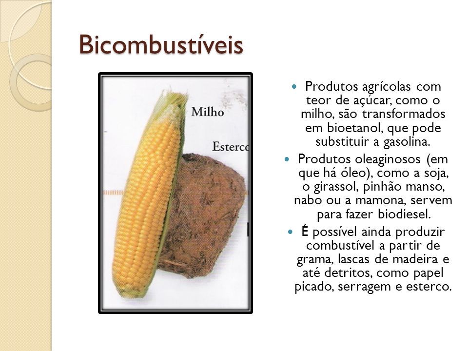 Bicombustíveis Produtos agrícolas com teor de açúcar, como o milho, são transformados em bioetanol, que pode substituir a gasolina.