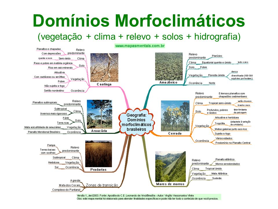 Domínios Morfoclimáticos (vegetação + clima + relevo + solos + hidrografia)