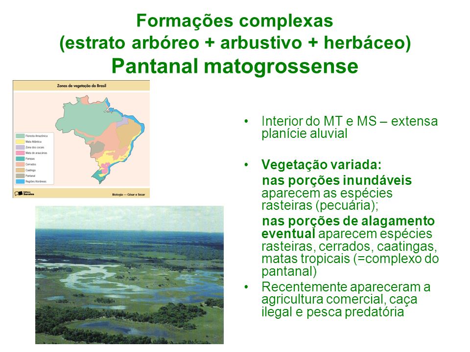 Formações complexas (estrato arbóreo + arbustivo + herbáceo) Pantanal matogrossense
