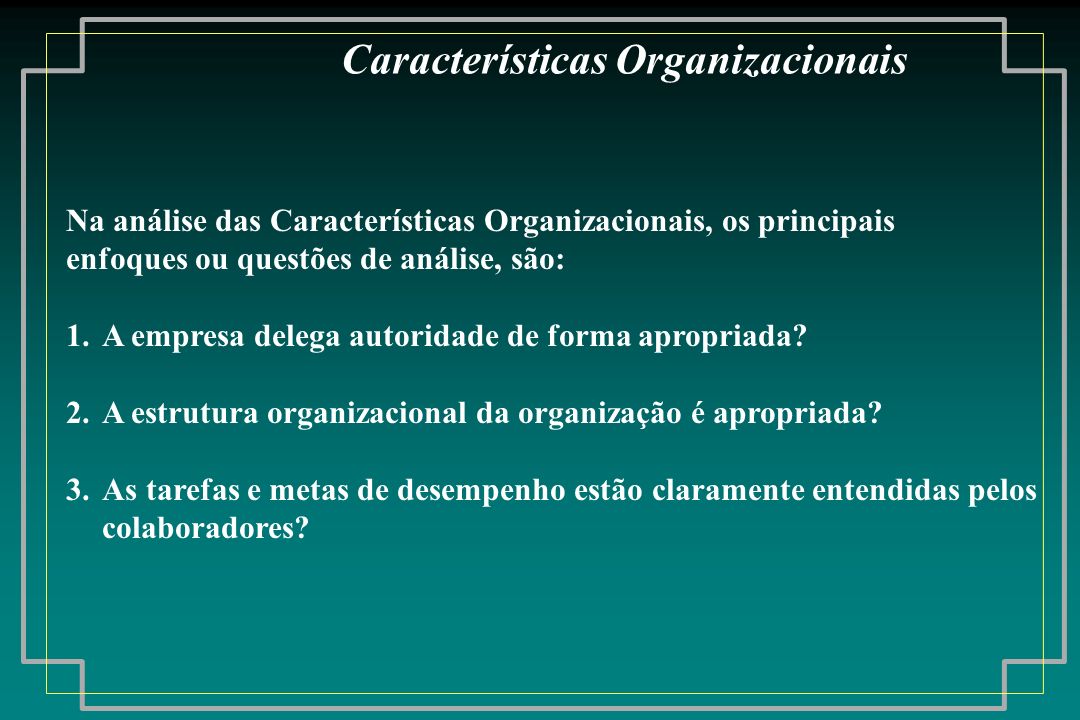 Características Organizacionais
