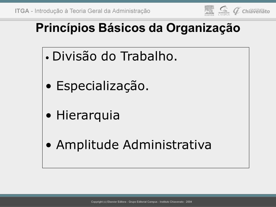 Princípios Básicos da Organização