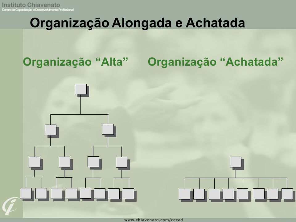 Organização Alongada e Achatada