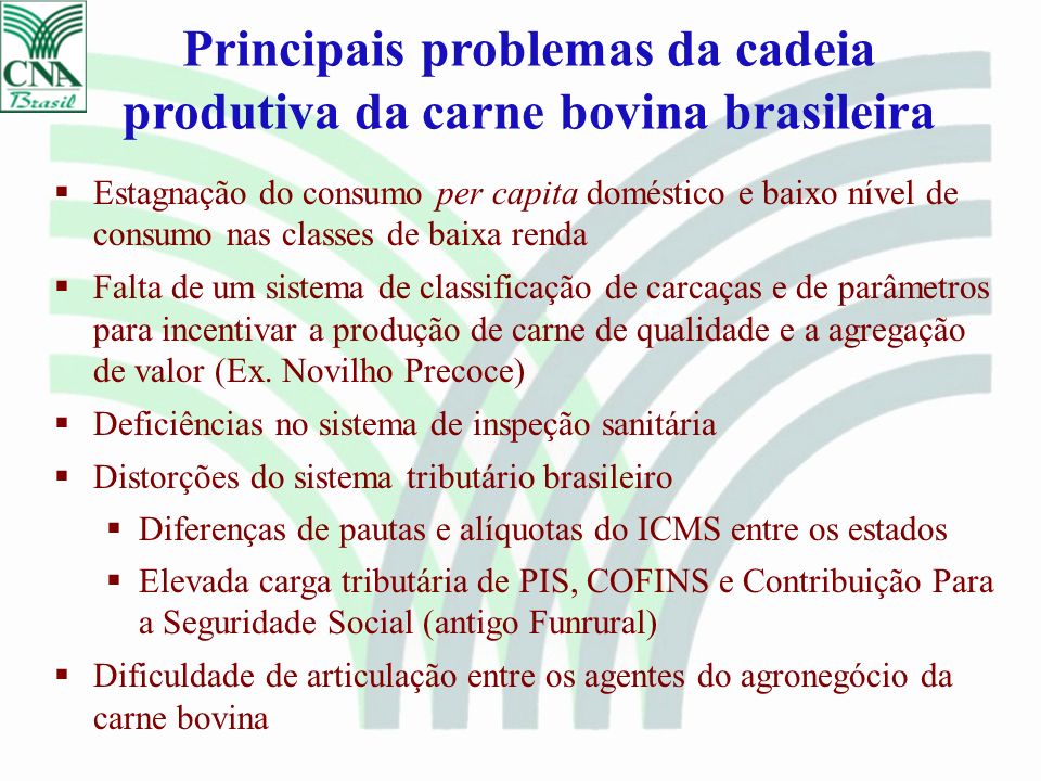 Principais problemas da cadeia produtiva da carne bovina brasileira