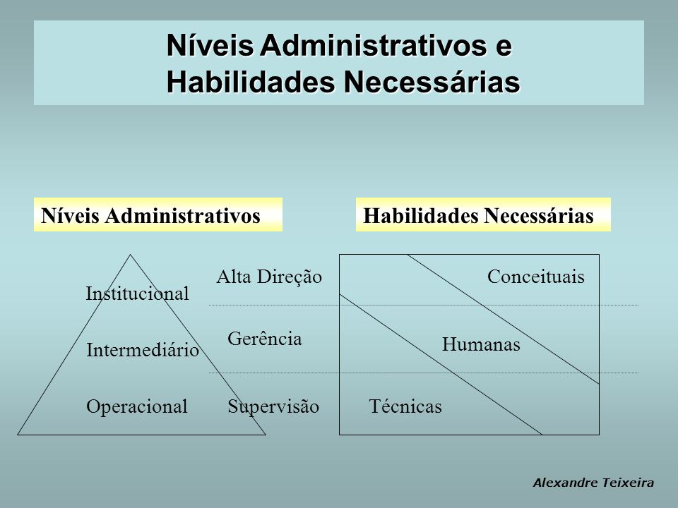 Níveis Administrativos e Habilidades Necessárias