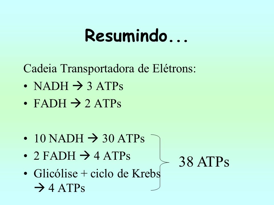 Resumindo ATPs Cadeia Transportadora de Elétrons: NADH  3 ATPs