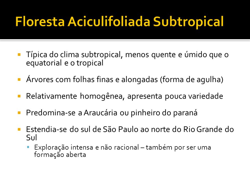 Floresta Aciculifoliada Subtropical