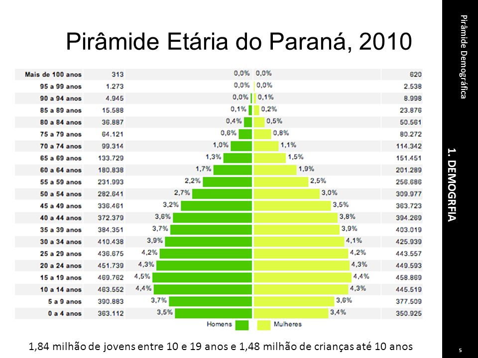 Pirâmide Etária do Paraná, 2010